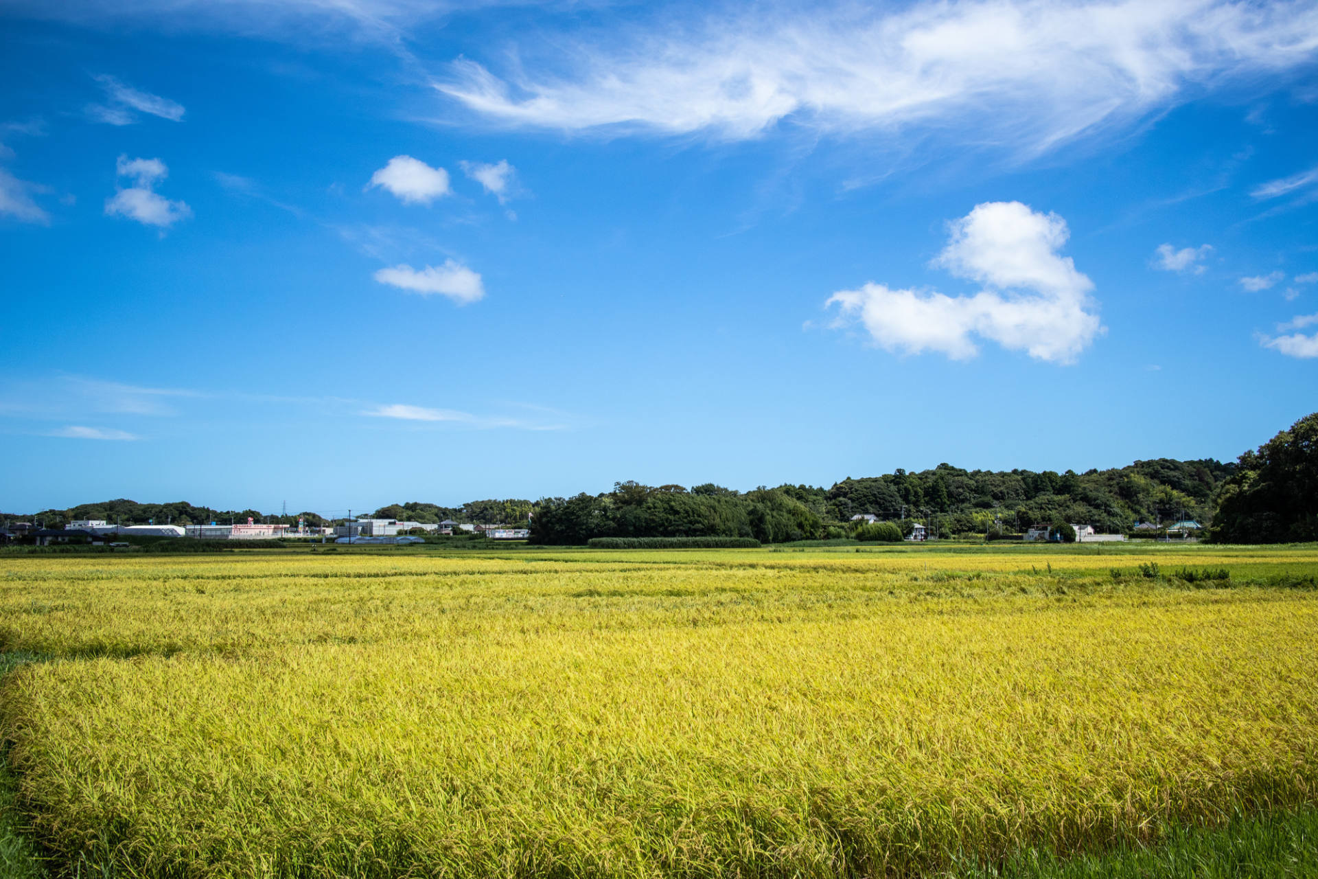 田園風景
